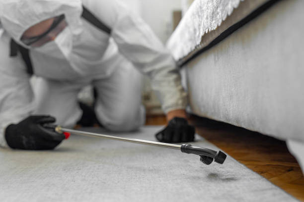 Professional Bed Bug Control technician working in McGuire AFB, NJ