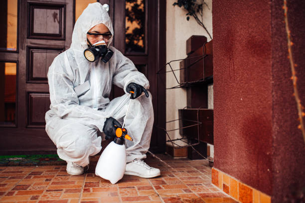 Reliable Bed Bug Control contractor in McGuire AFB, NJ by Nex Pest Control