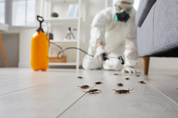 Trusted Fumigation Services service in McGuire AFB, NJ - Nex Pest Control